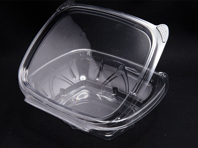 Guide to Thermoforming Food Packaging Everything You Need to