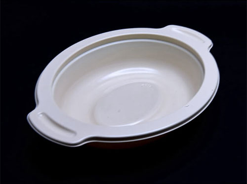 vacuum thermoforming mold for container