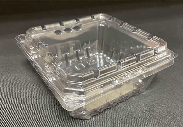 Thermoforming Examples in Food Packaging - Ventilated Produce Trays, Containers & Clamshells